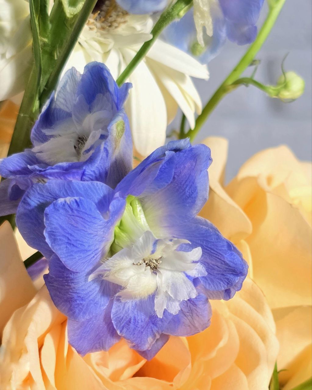 photo_2025-08-29_14-26-59