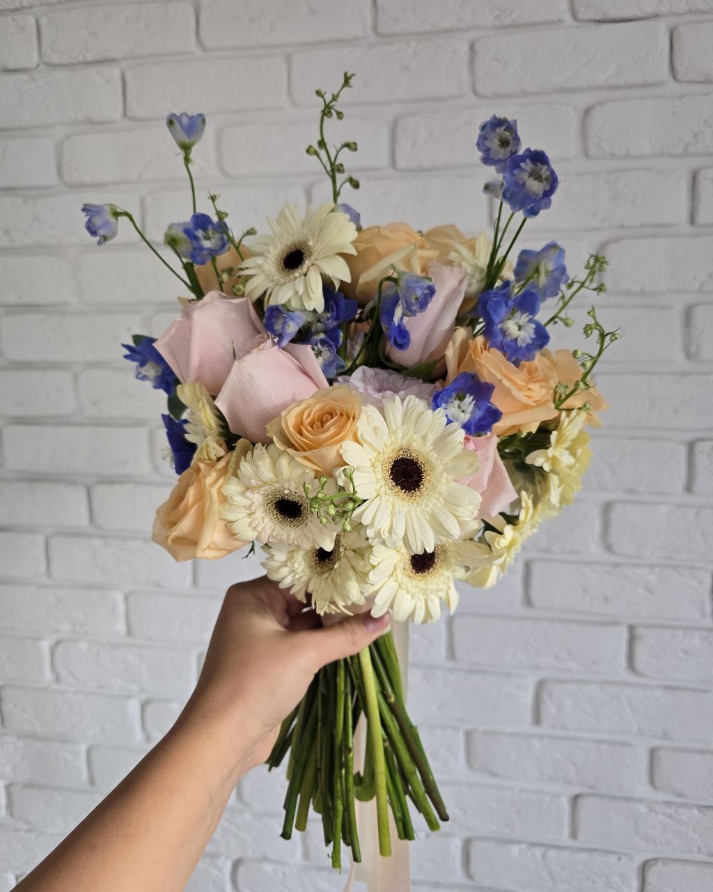 photo_2025-08-29_14-27-01