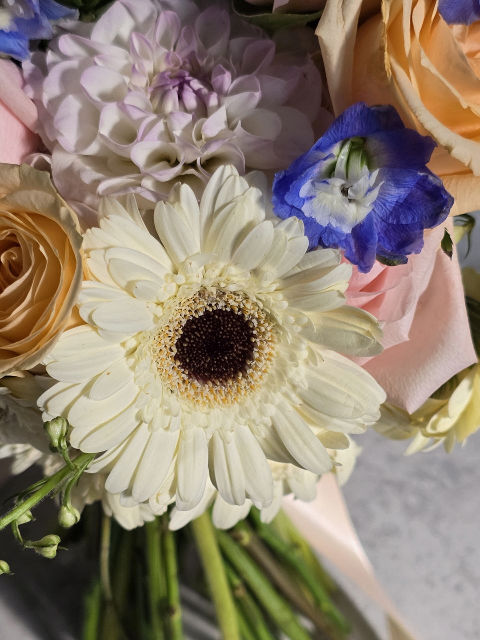 photo_2025-08-29_14-27-02