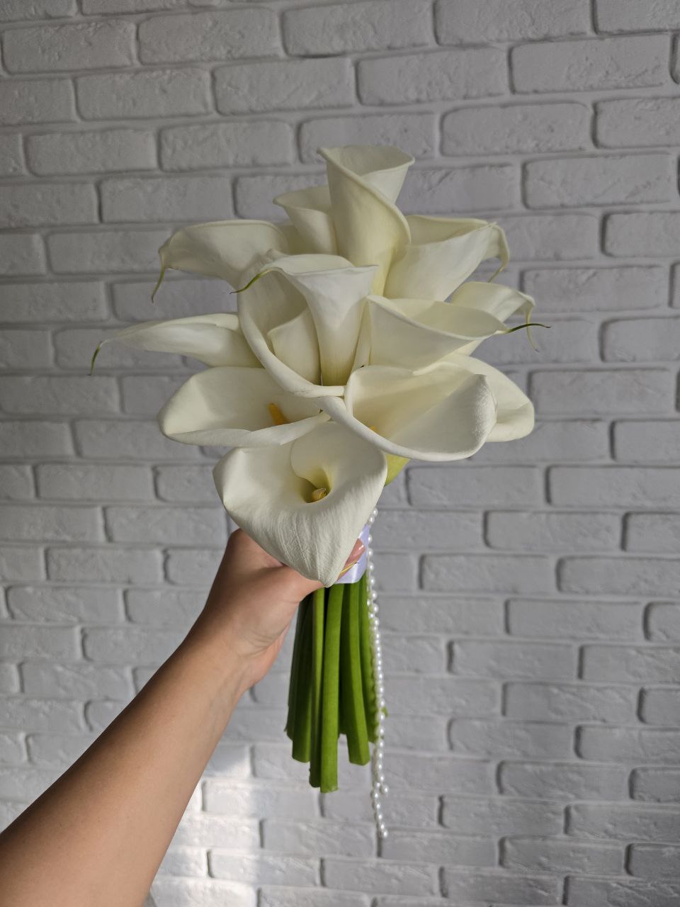 photo_2025-10-08_16-46-02