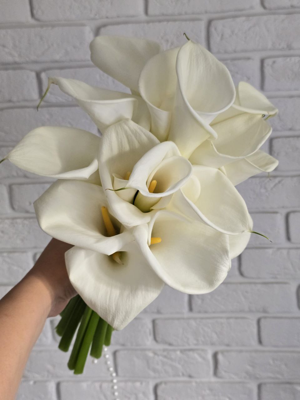 photo_2025-10-08_16-46-04