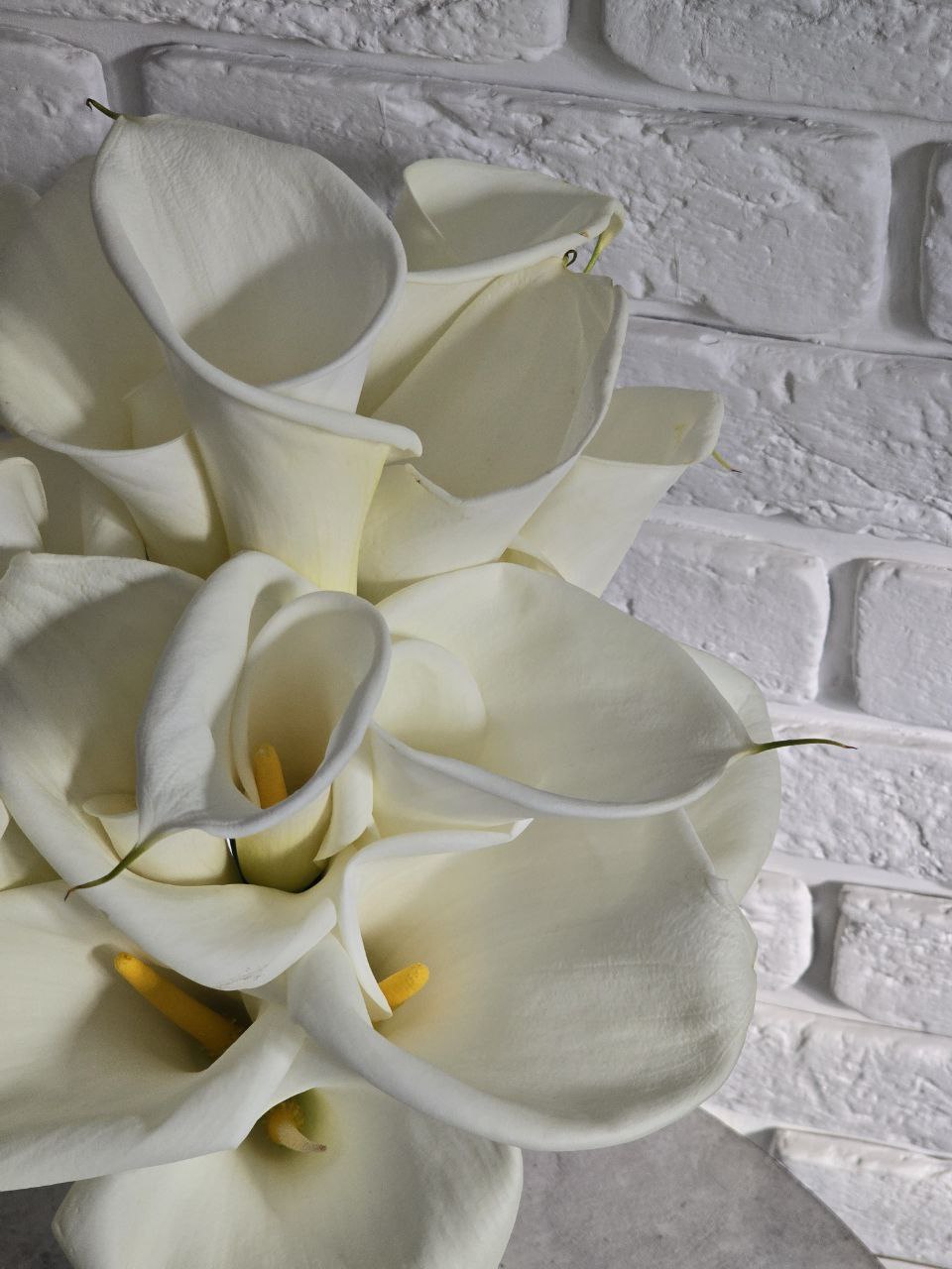 photo_2025-10-08_16-46-05