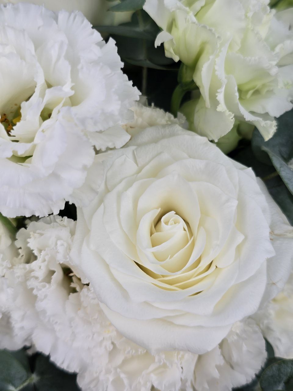 photo_2025-10-08_18-55-52