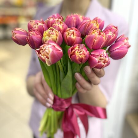 tulip-columbus-2