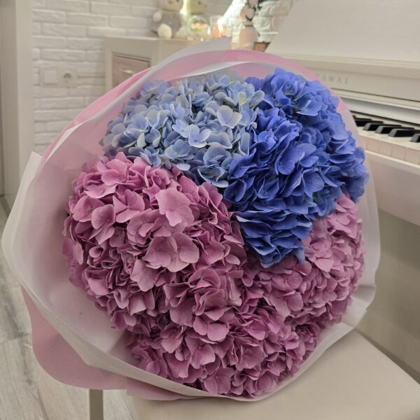 Color Breeze