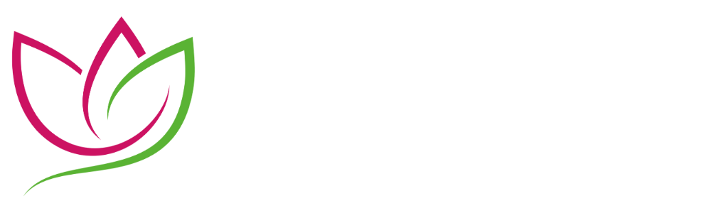 light logo
