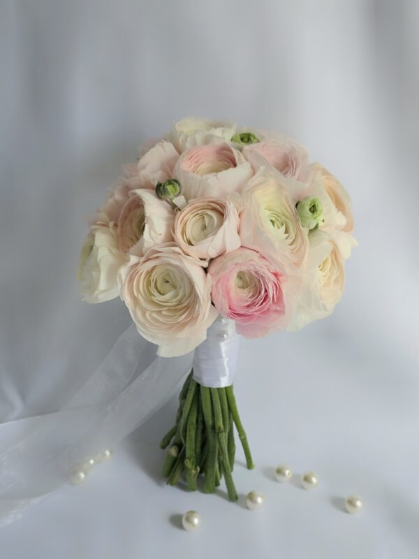 Camellia