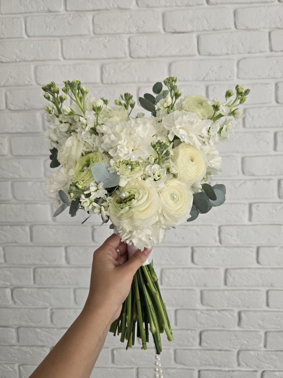 photo_2025-10-08_19-49-37