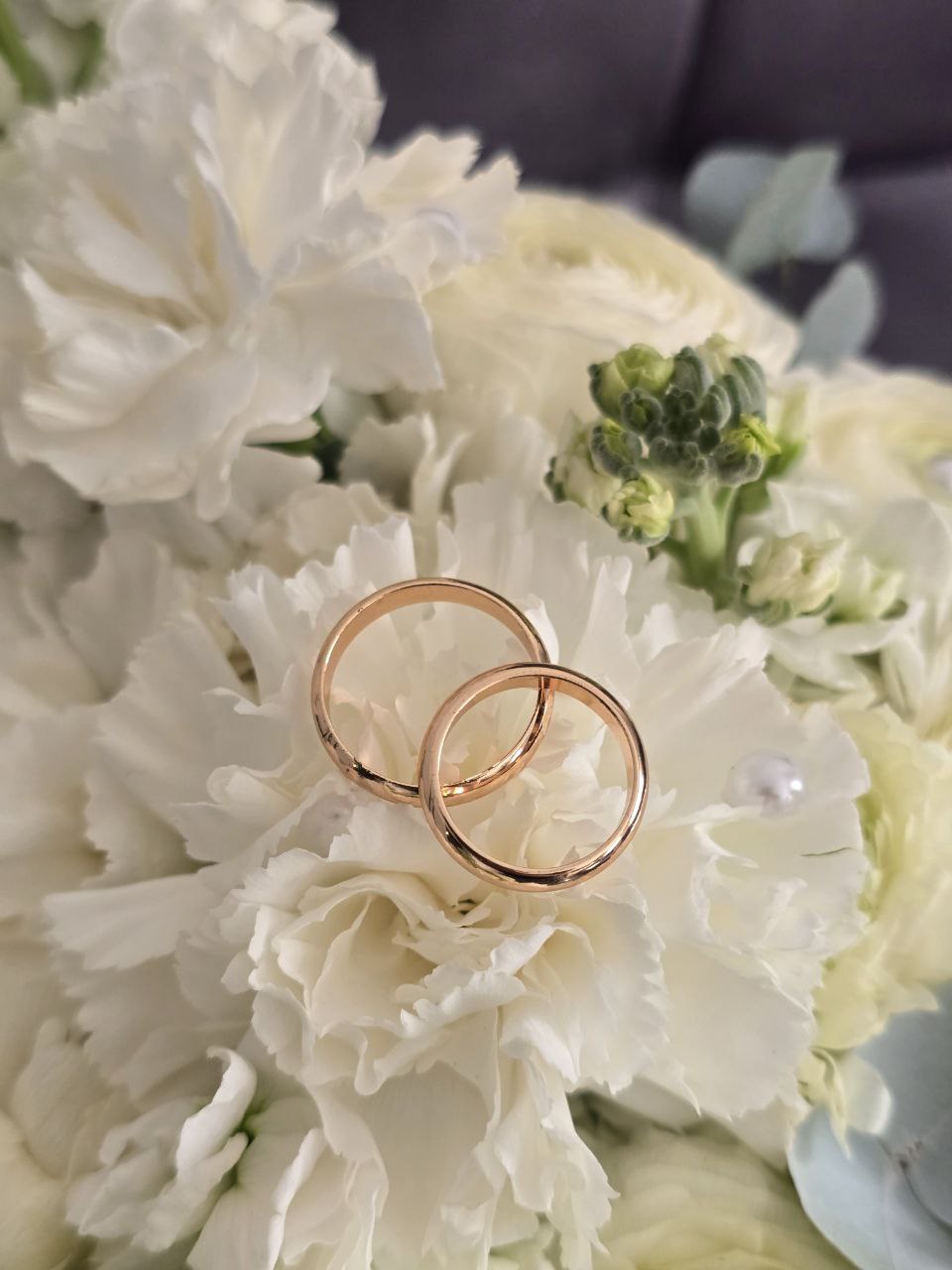 photo_2025-10-08_19-49-42